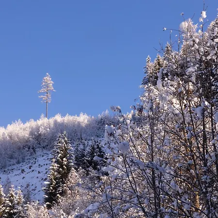 Morgenlicht شقة *